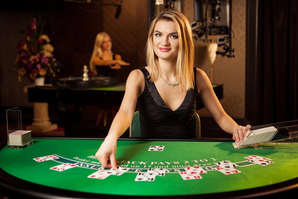 dealer-casino-sm66